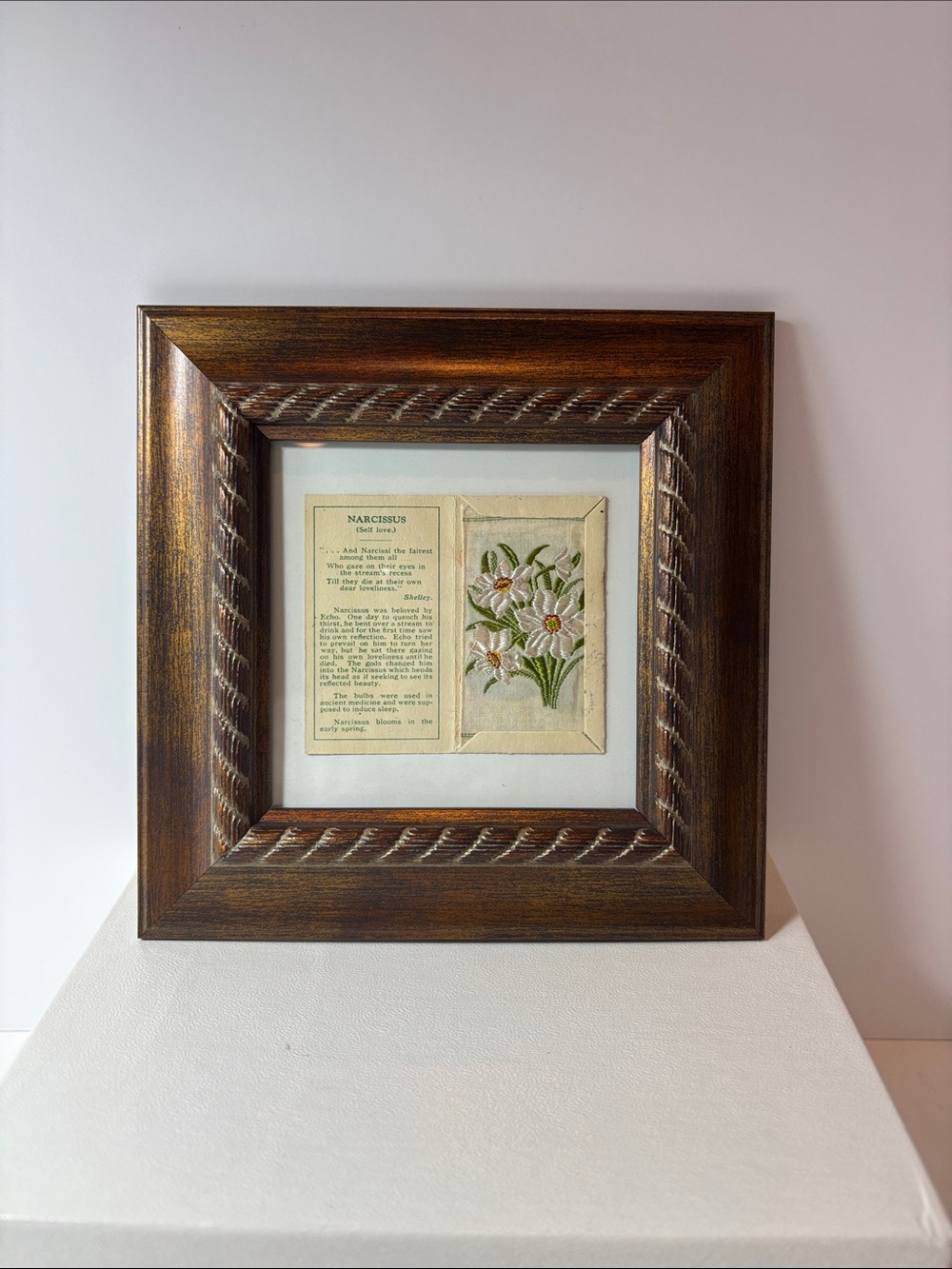 Framed Vintage Embroidered Narcissus Artwork in Brown Frame